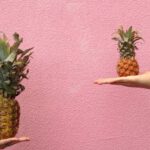 Cms Comparison - Two People Holding Pineapple Fruit on Their Palm
