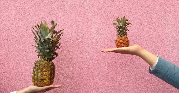 Cms Comparison - Two People Holding Pineapple Fruit on Their Palm